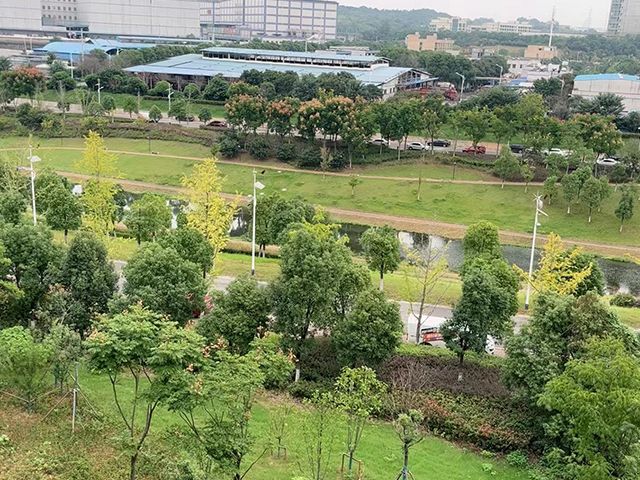 公司环境